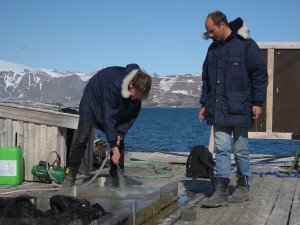 het experiment afbreken